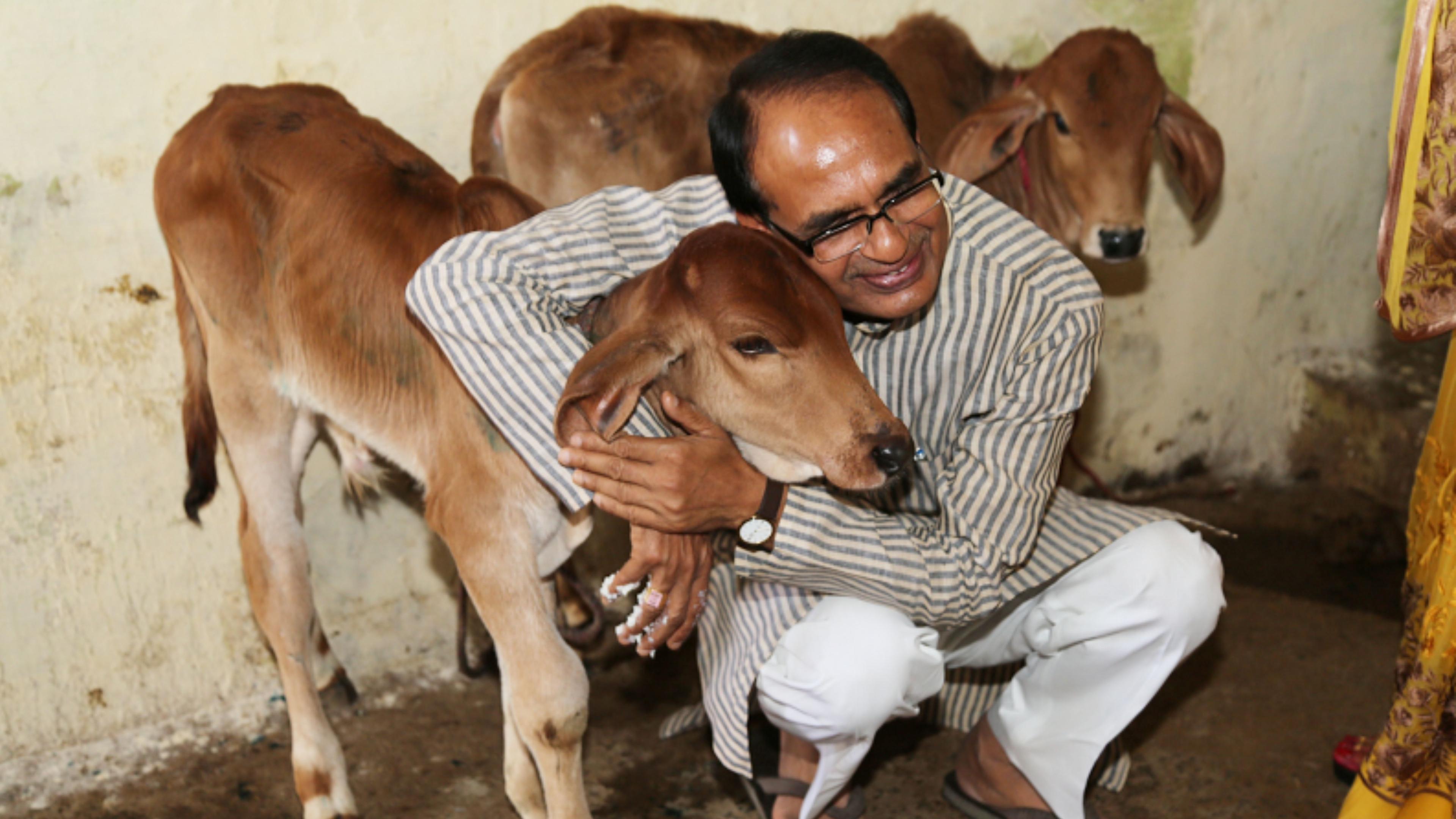 Shivraj Singh Chouhan - Cow Conservation