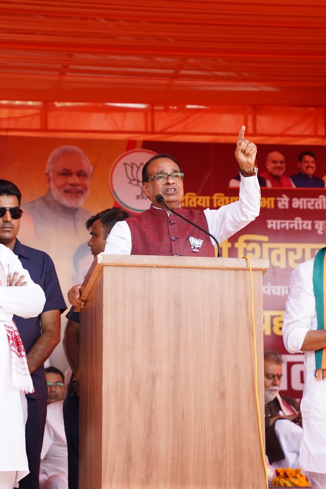 Center-MP government approves moong scheme – in front: 87% of the country's quota comes from MP... yet only 2% was purchased in the state, letter worm