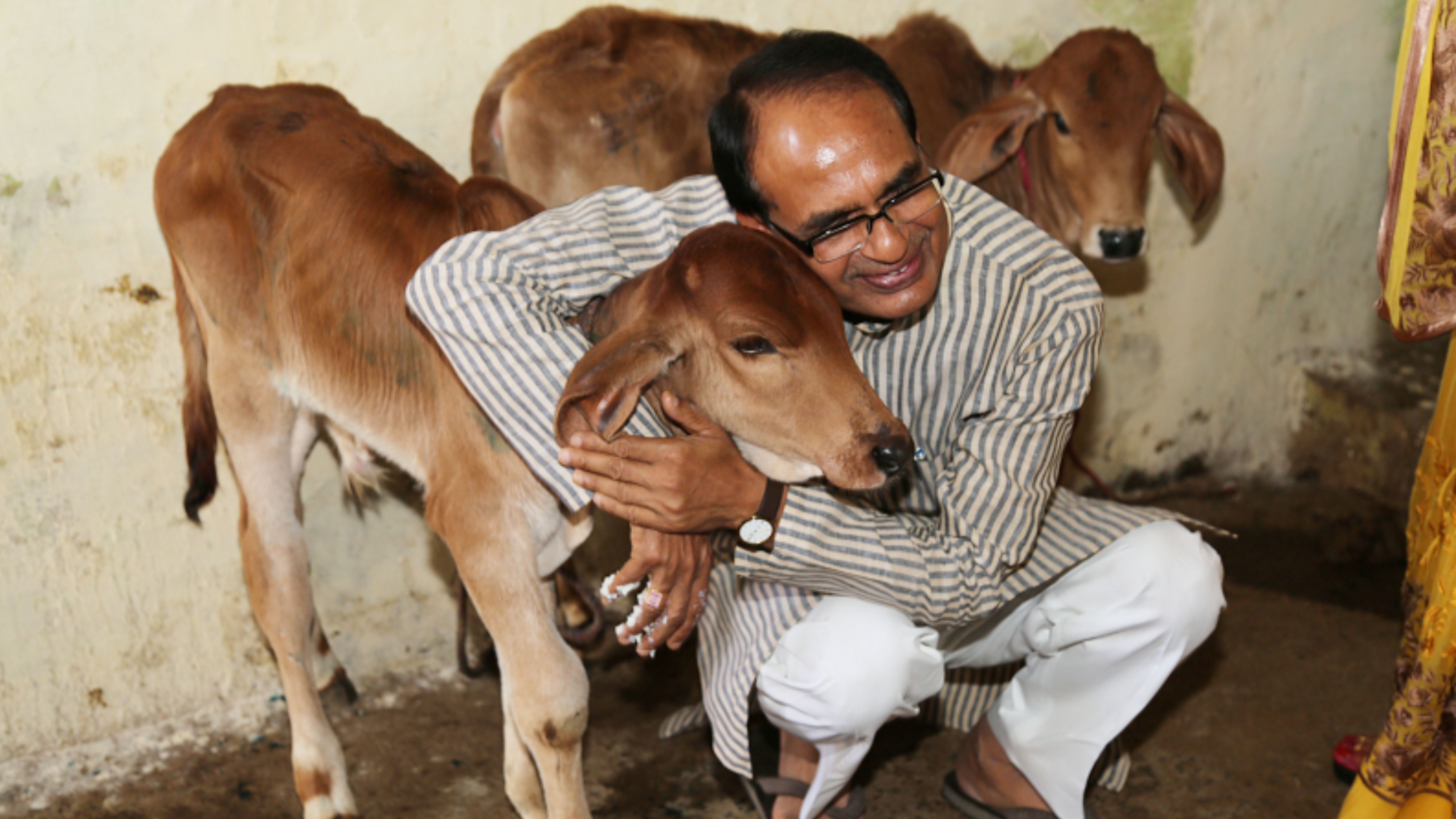 Shivraj Singh Chouhan - Cow Conservation
